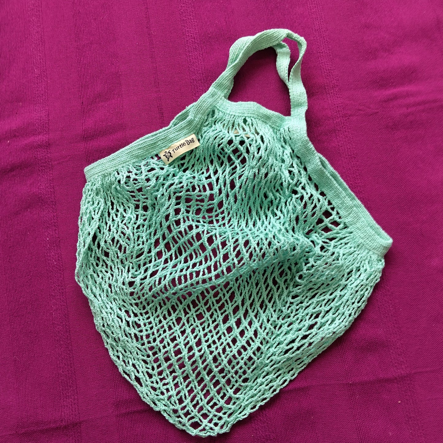 Turtle Bag - Short Handle Light Blue